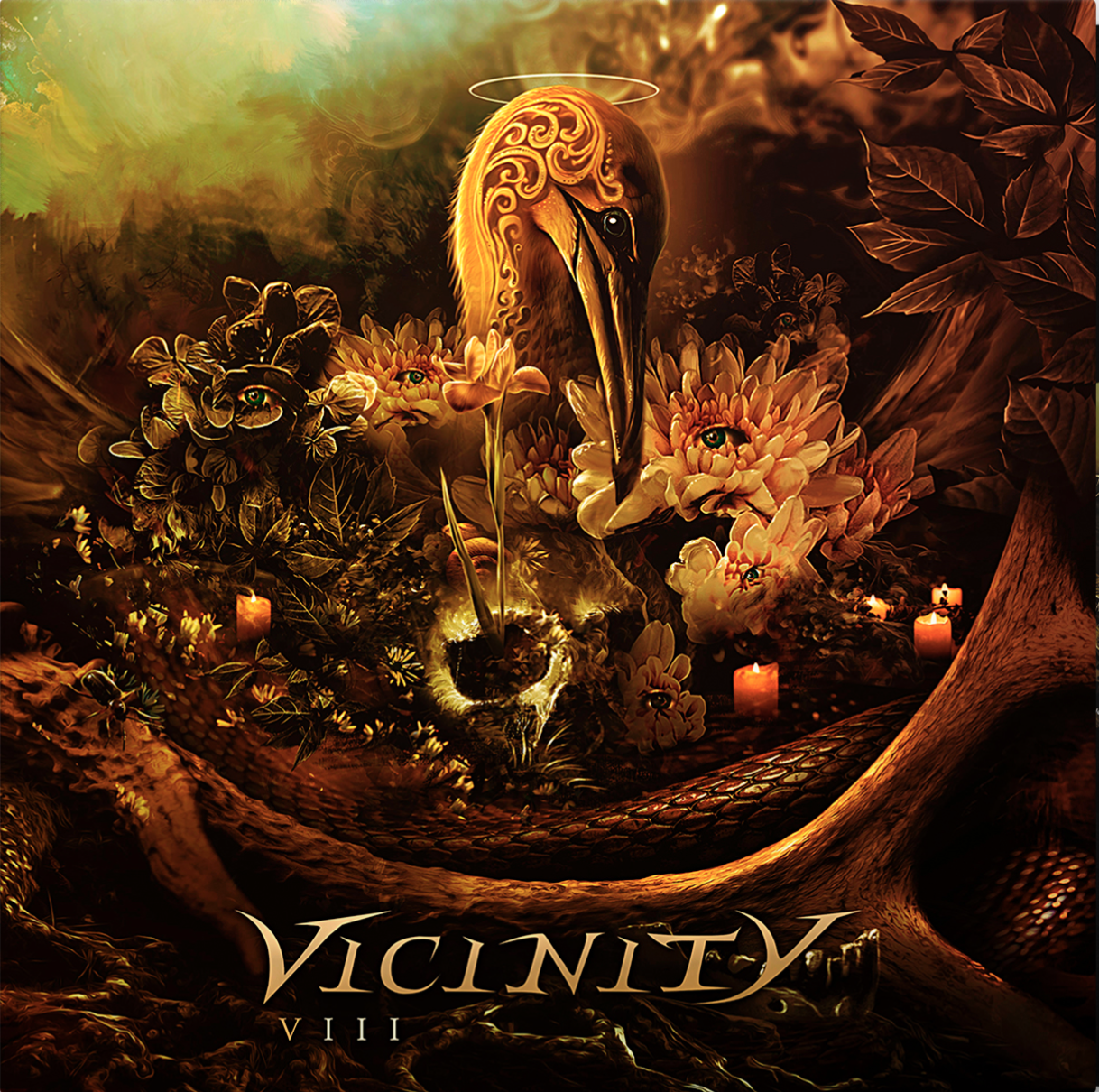 Vicinity - Distance (clip)